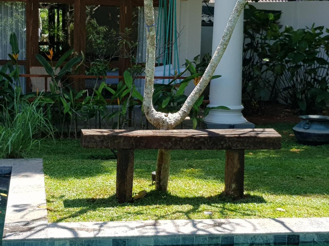 Hotel Bilin Tree House Galle Zewnętrze zdjęcie