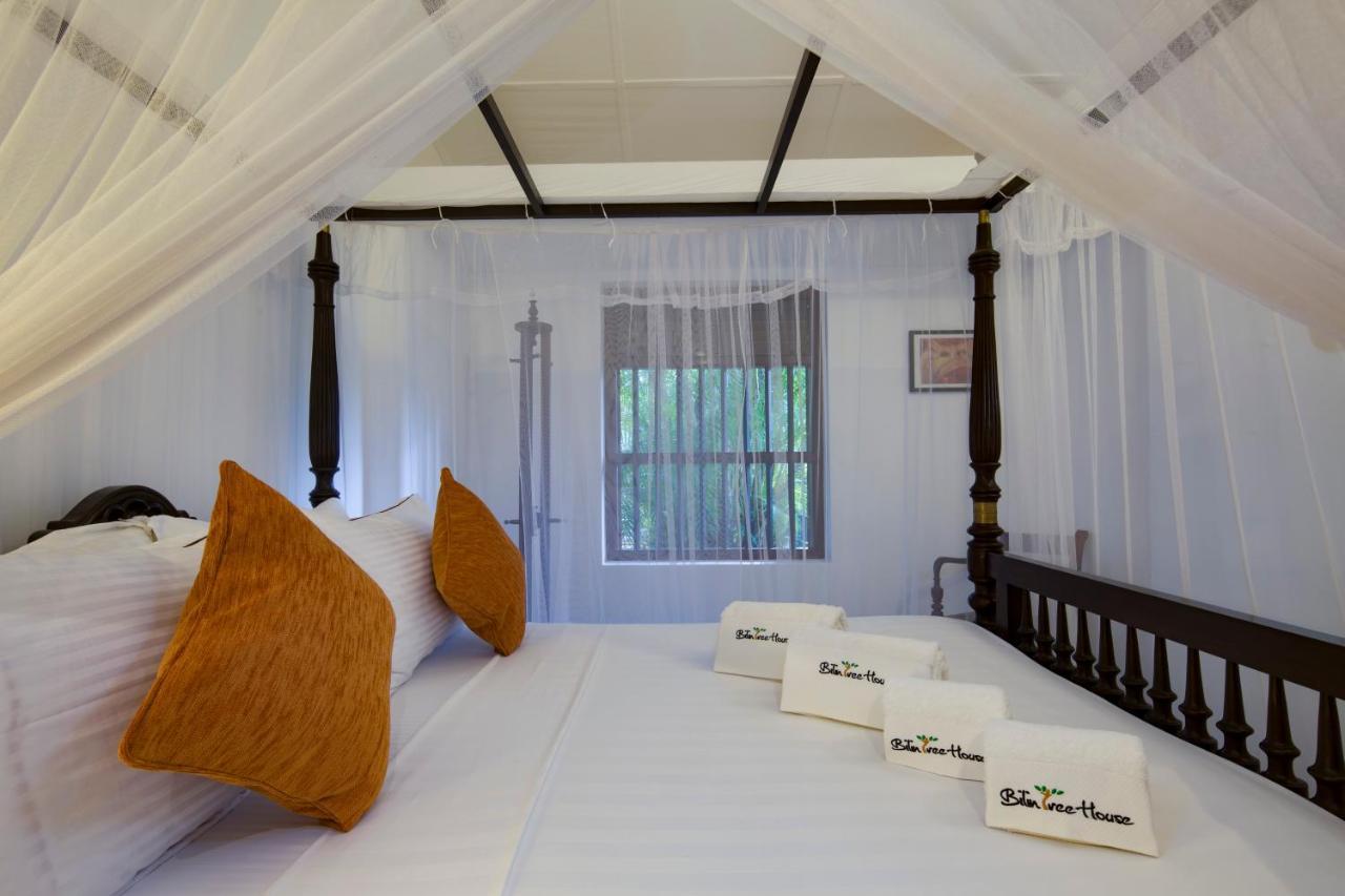 Hotel Bilin Tree House Galle Zewnętrze zdjęcie